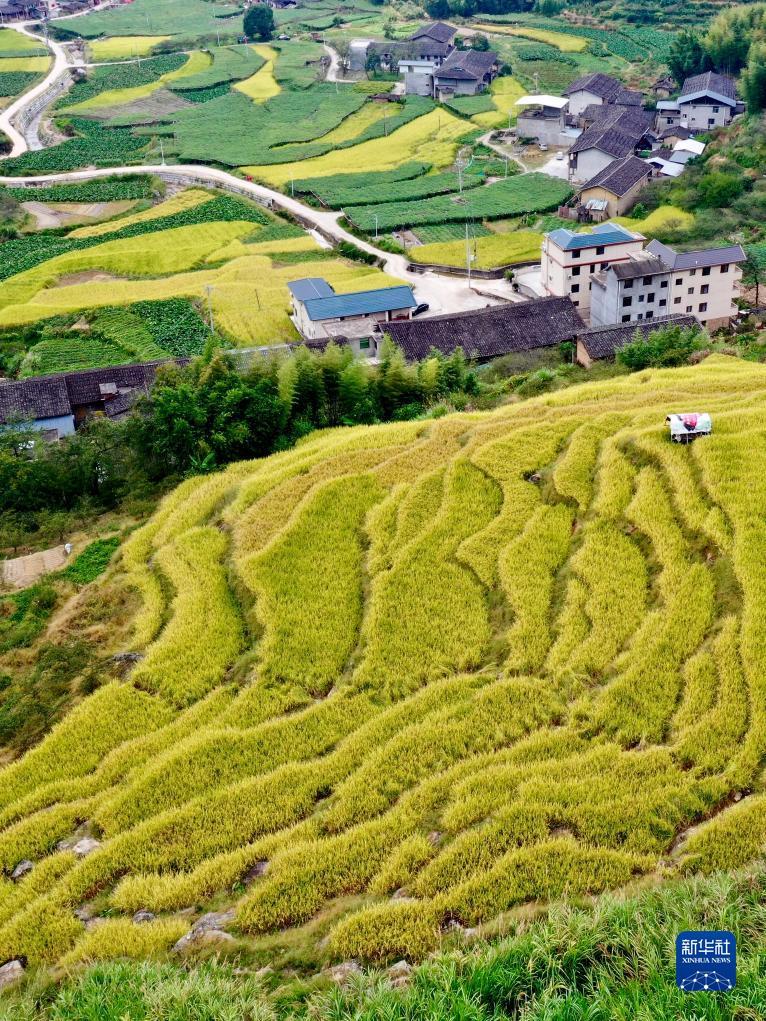 现金银河注册
